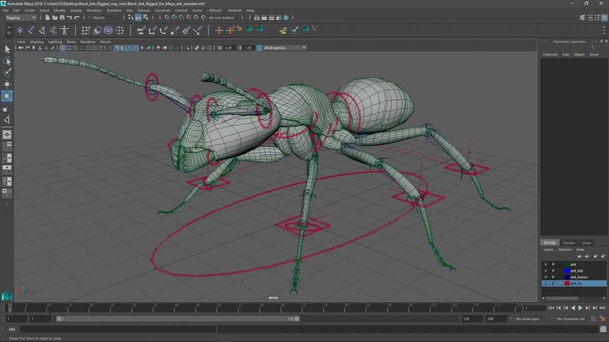 3D model Black Ant Rigged for Maya