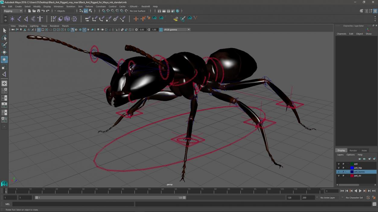 3D model Black Ant Rigged for Maya