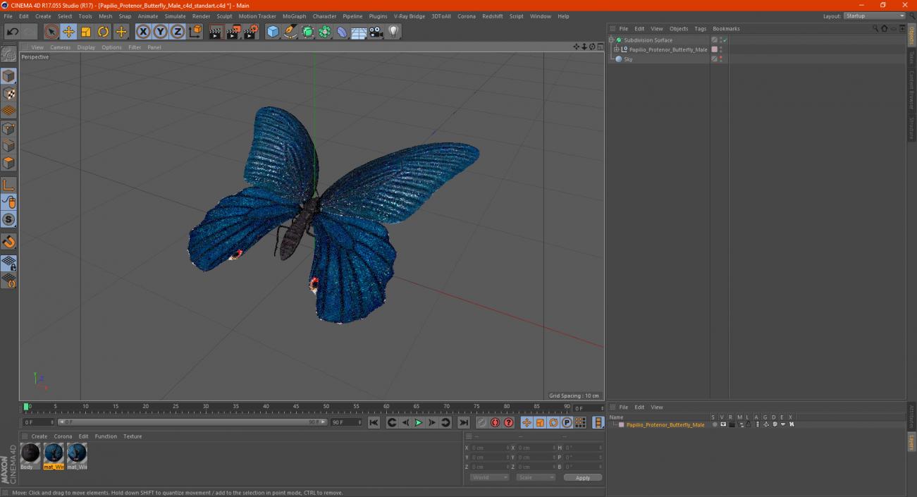 3D Papilio Protenor Butterfly Male