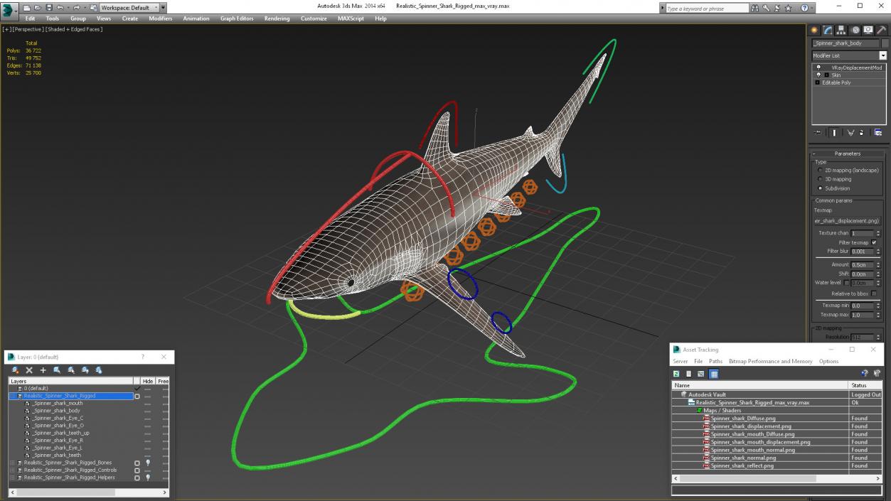 3D model Realistic Spinner Shark Rigged