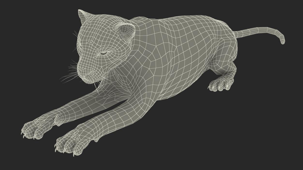 3D Black Panther Lying Down 2