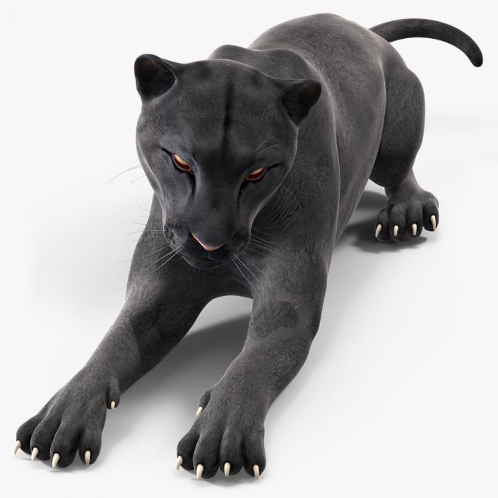 3D Black Panther Lying Down 2