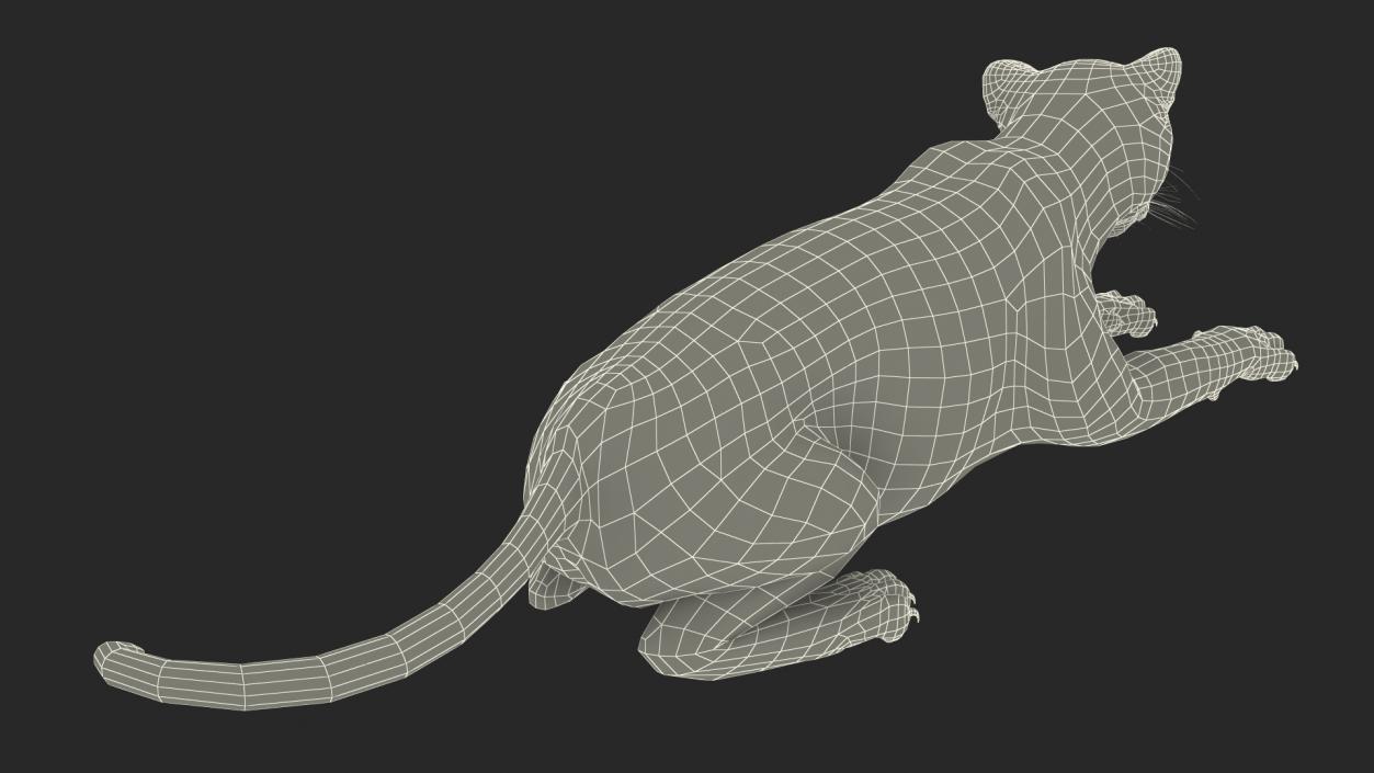 3D Black Panther Lying Down 2