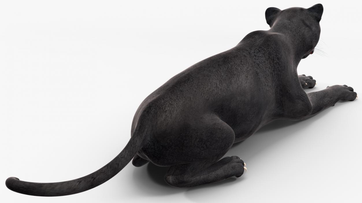 3D Black Panther Lying Down 2