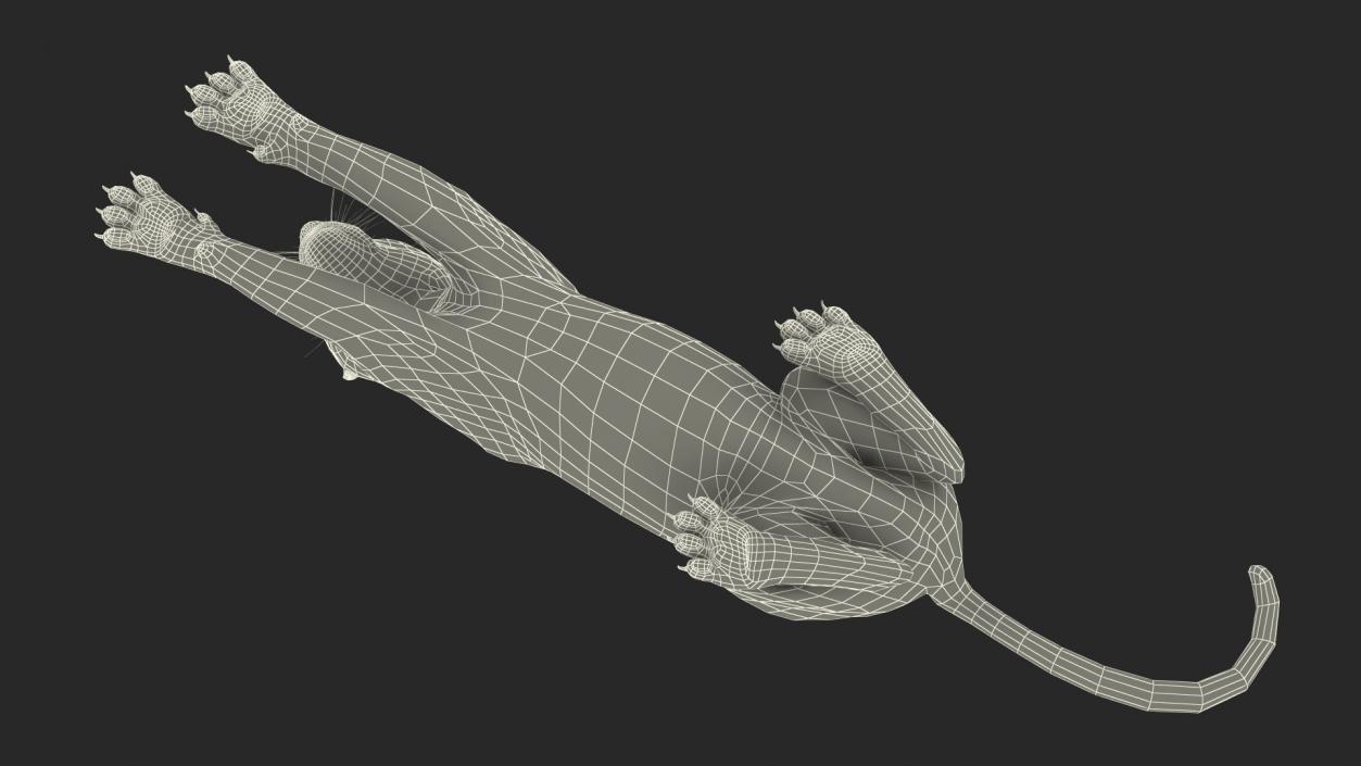 3D Black Panther Lying Down 2