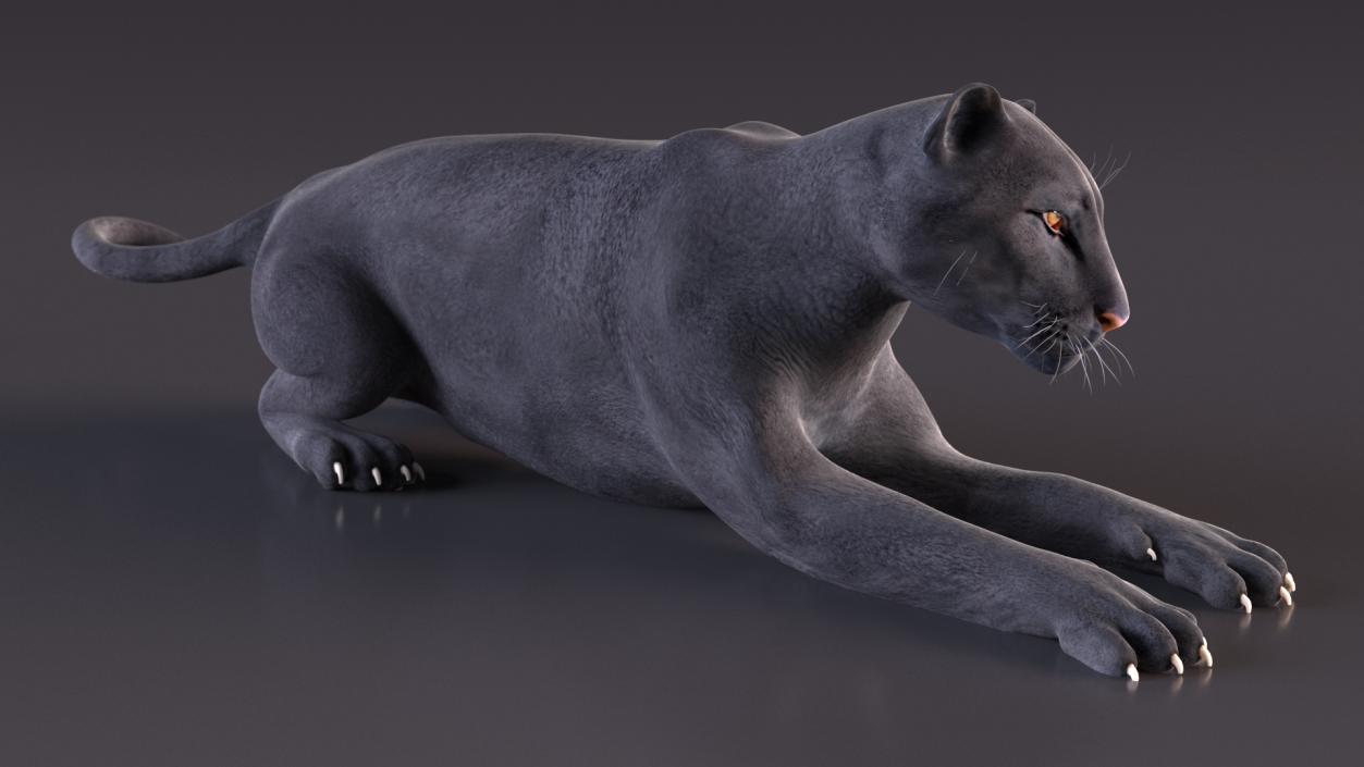 3D Black Panther Lying Down 2