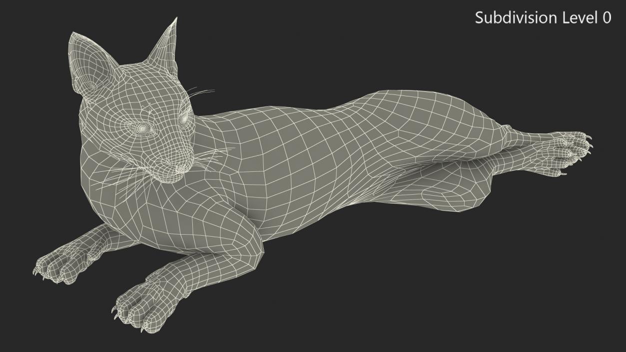 3D Caracal Cat Resting Fur model