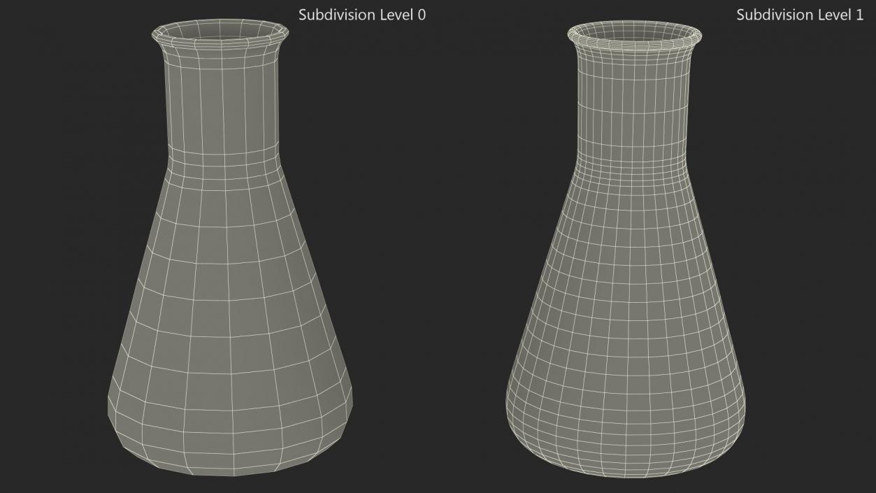 50ML Erlenmeyer Flask Empty 3D