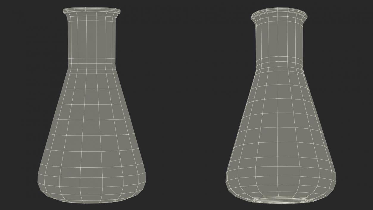 50ML Erlenmeyer Flask Empty 3D