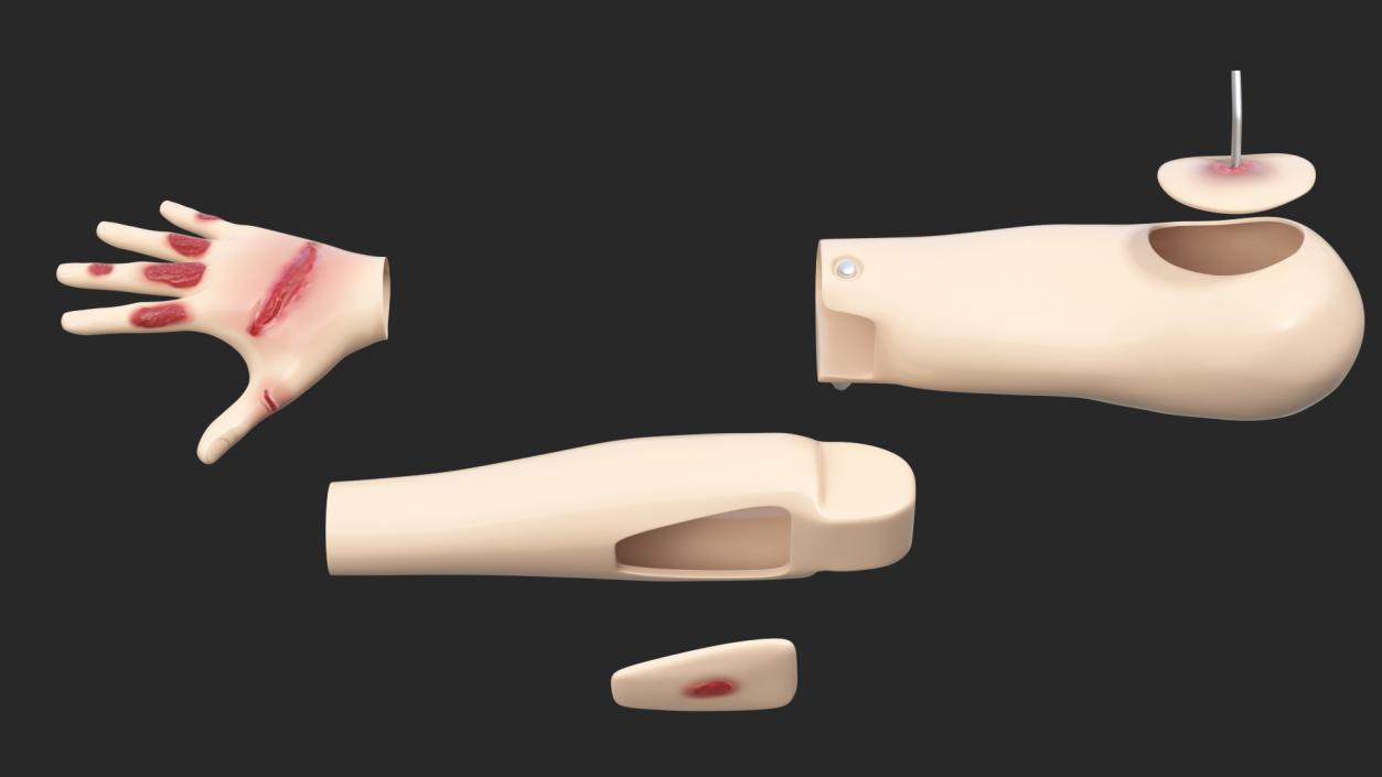 3D model Injured Firstaid Mannequin Arm