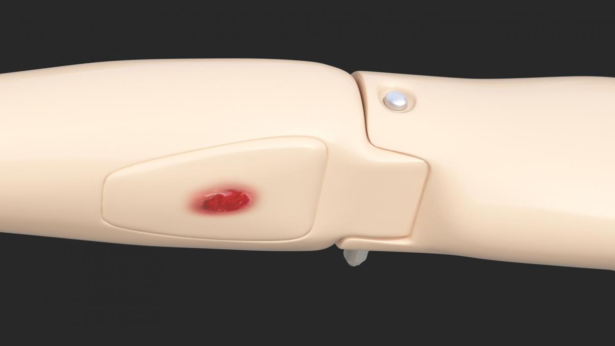 3D model Injured Firstaid Mannequin Arm