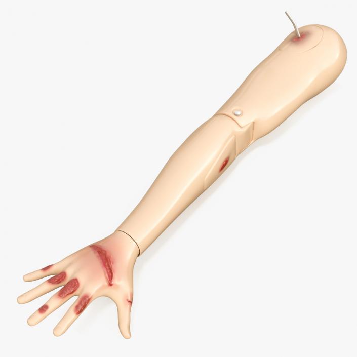 3D model Injured Firstaid Mannequin Arm