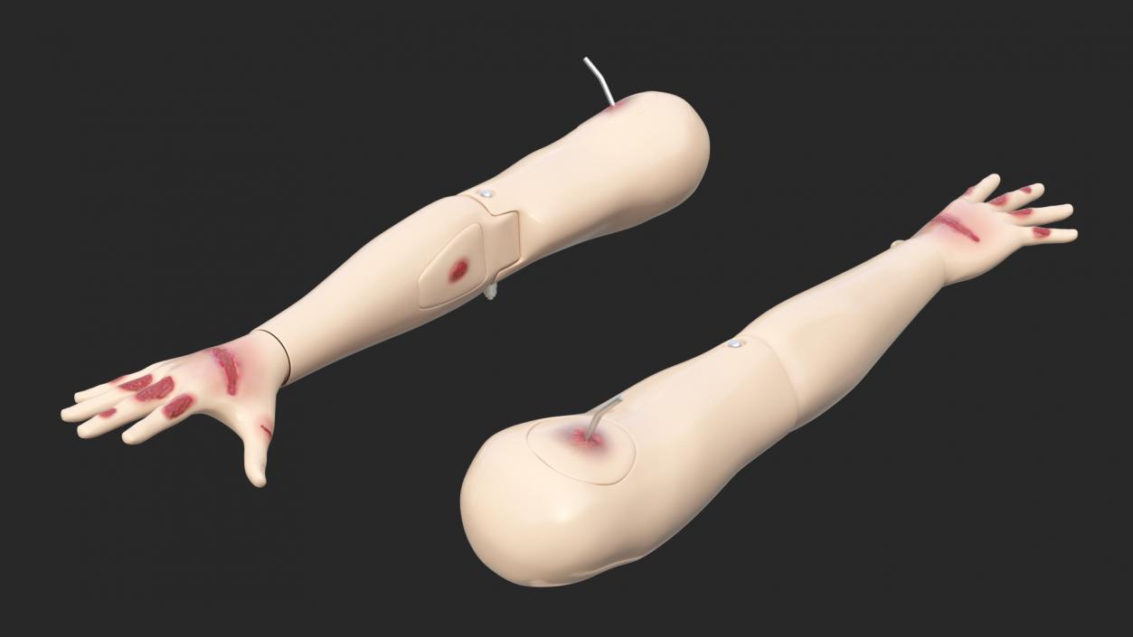 3D model Injured Firstaid Mannequin Arm