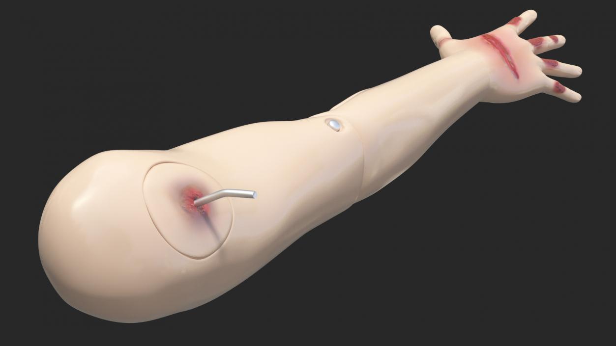 3D model Injured Firstaid Mannequin Arm