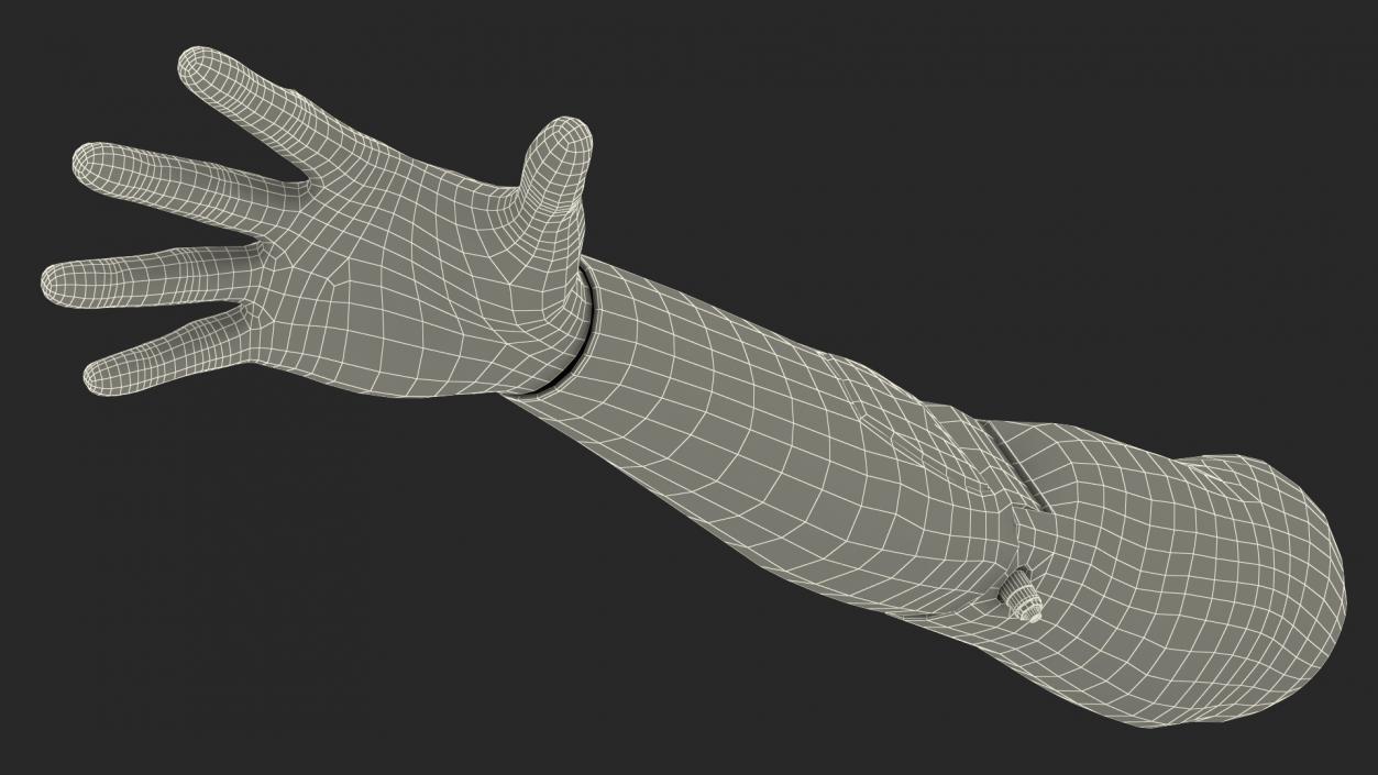 3D model Injured Firstaid Mannequin Arm