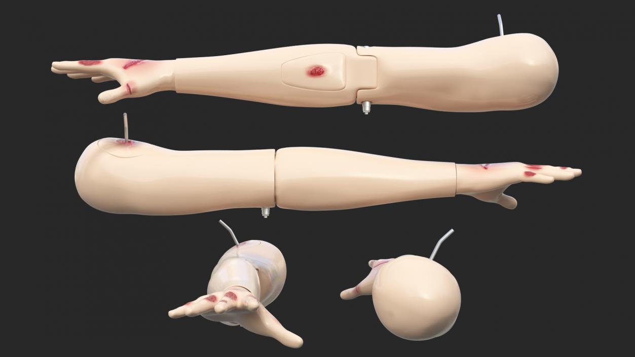 3D model Injured Firstaid Mannequin Arm