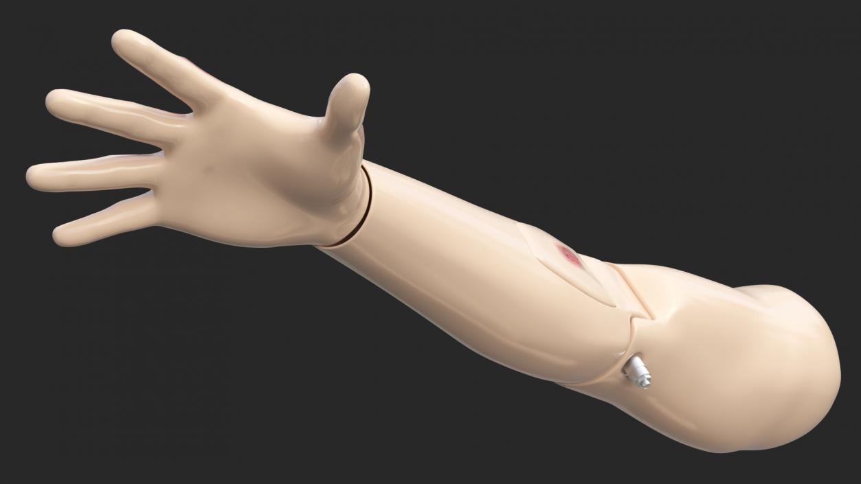 3D model Injured Firstaid Mannequin Arm