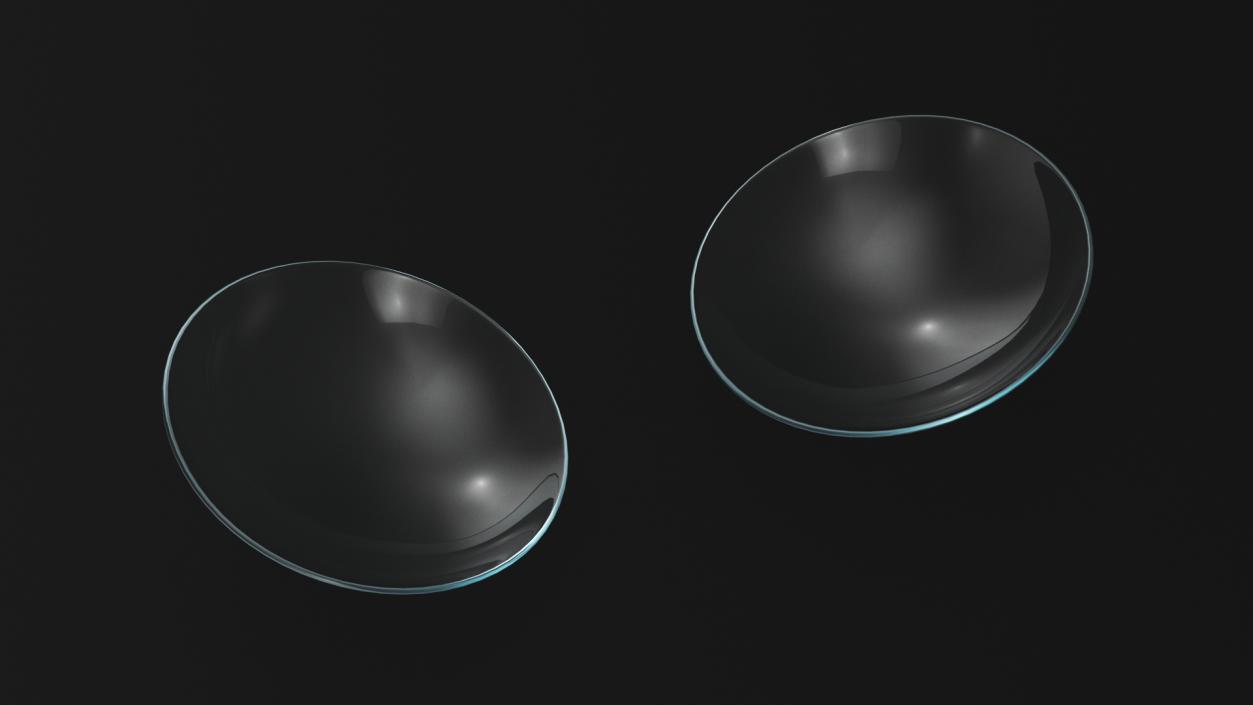 Contact Lenses 3D model