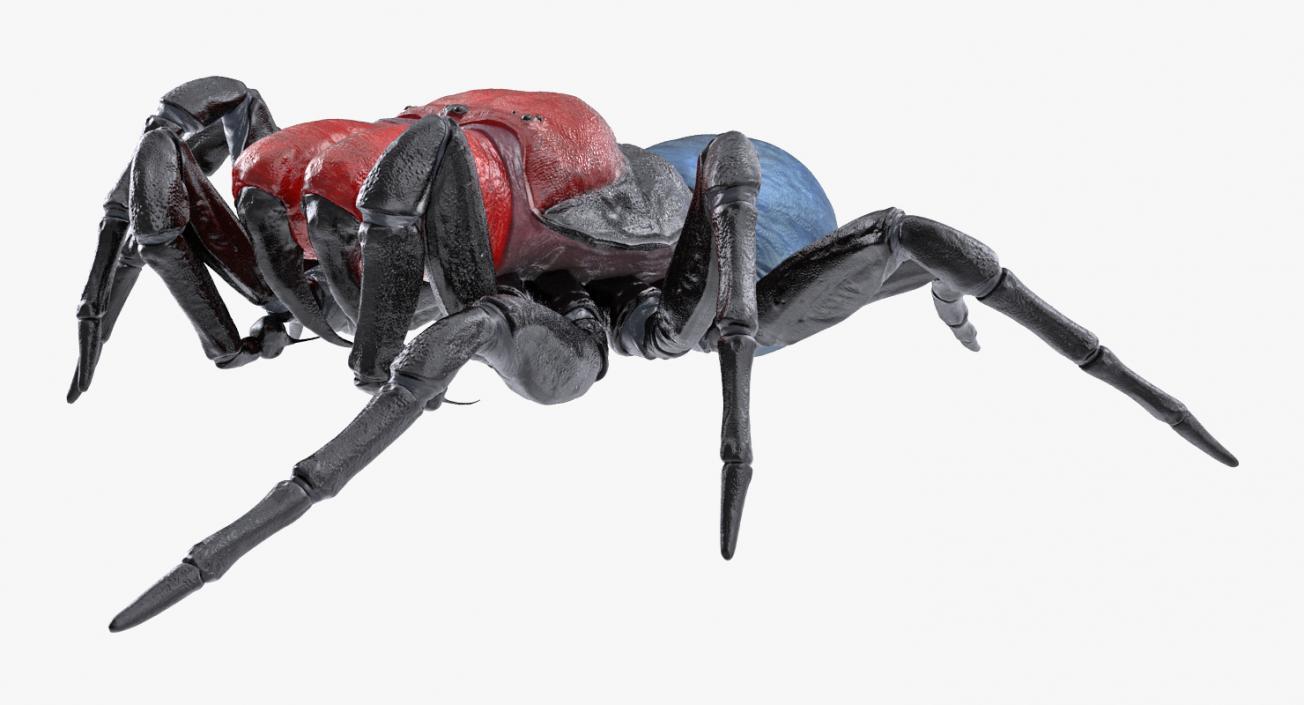 Mouse Spider Rigged 3D model