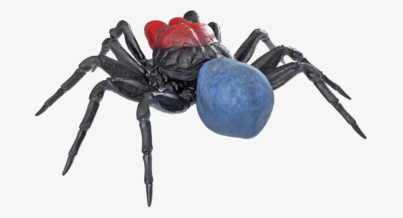 Mouse Spider Rigged 3D model