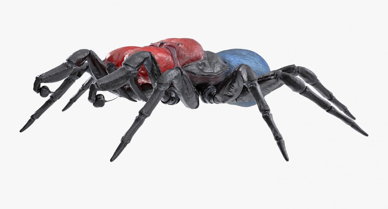 Mouse Spider Rigged 3D model