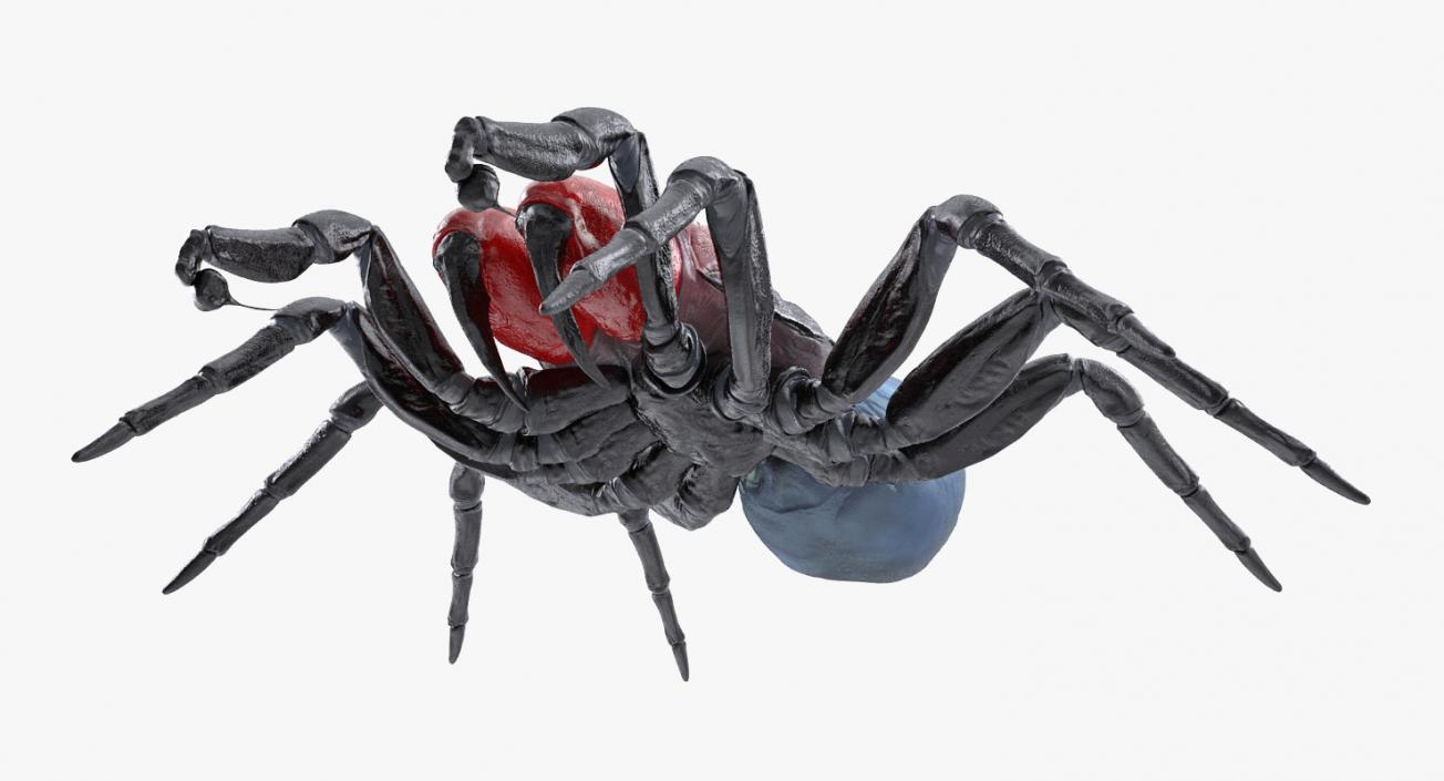 Mouse Spider Rigged 3D model