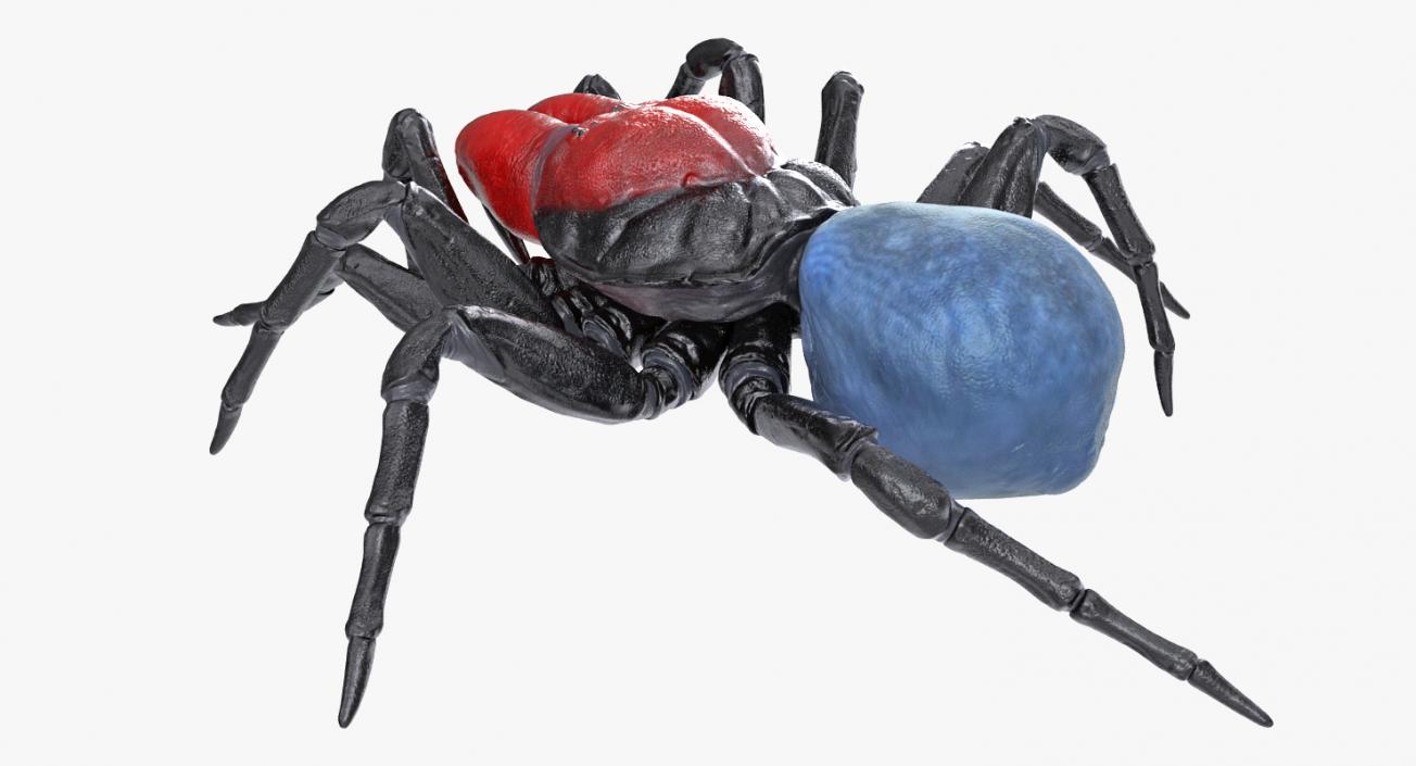 Mouse Spider Rigged 3D model