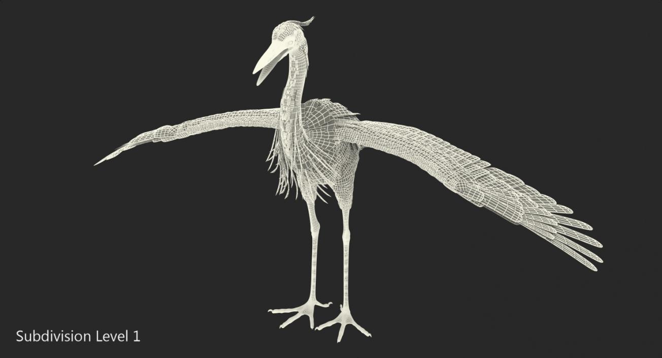 3D Great Blue Heron Rigged model