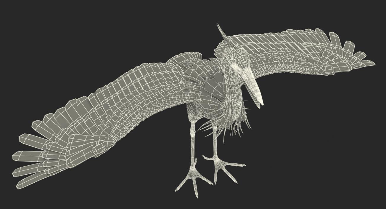 3D Great Blue Heron Rigged model