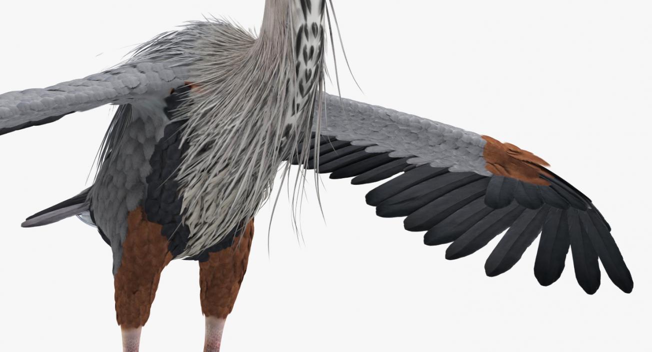 3D Great Blue Heron Rigged model