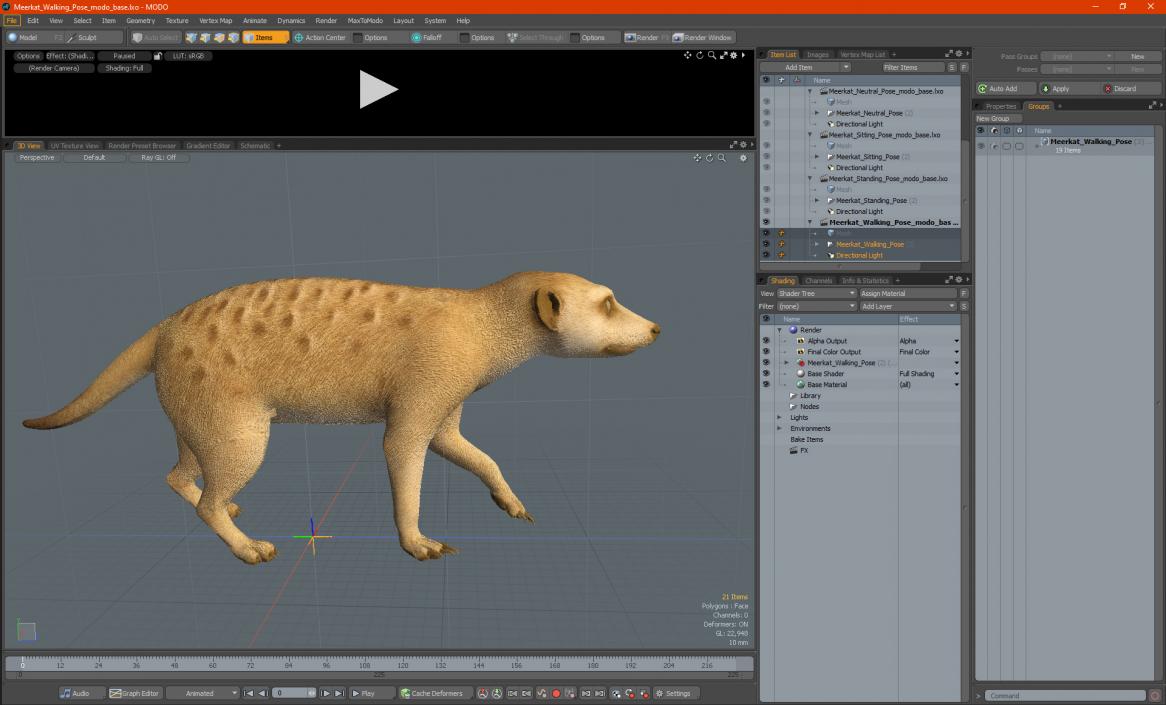 3D model Meerkat Walking Pose