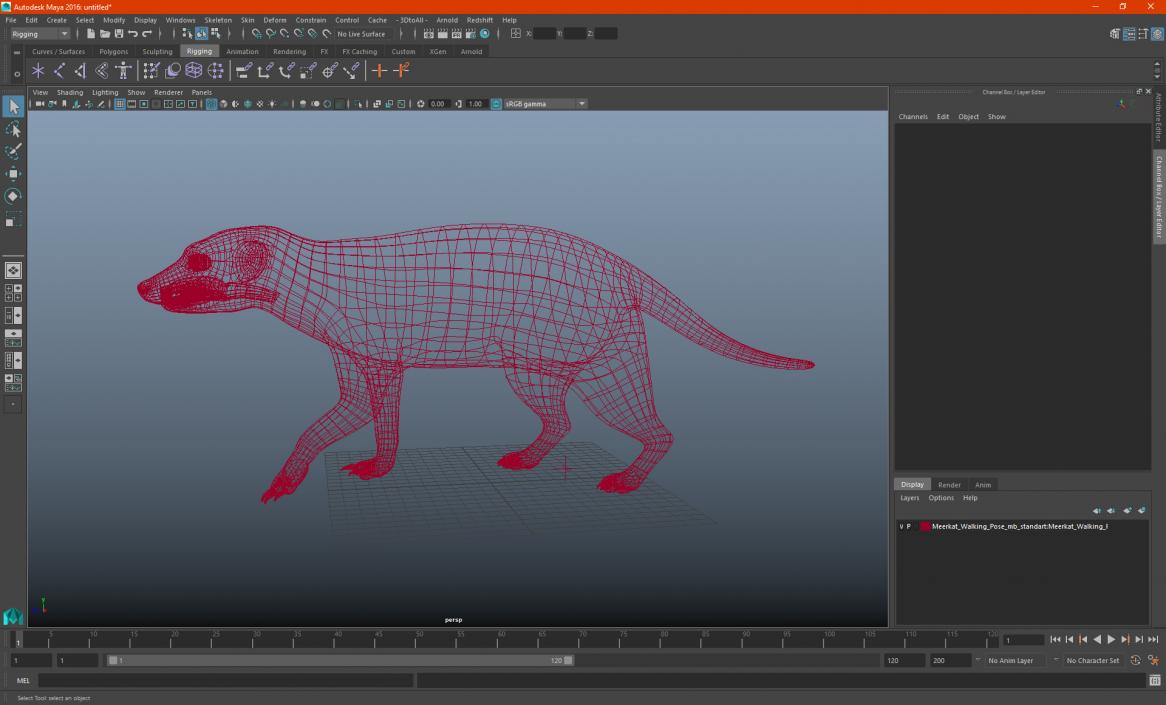 3D model Meerkat Walking Pose