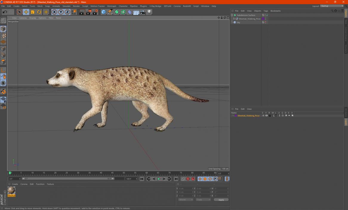 3D model Meerkat Walking Pose