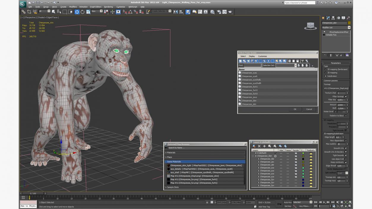 3D Light Chimpanzee Walking Pose Fur model