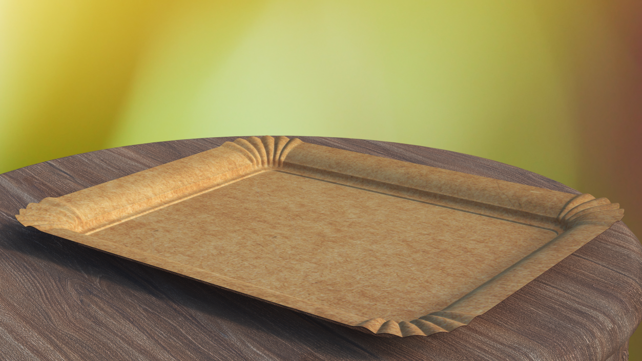 Brown Rectangle Paper Plate 3D