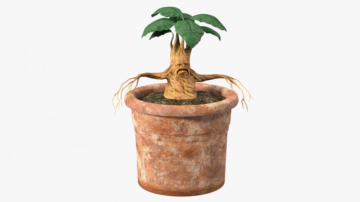 3D Mandragora Flower Pot