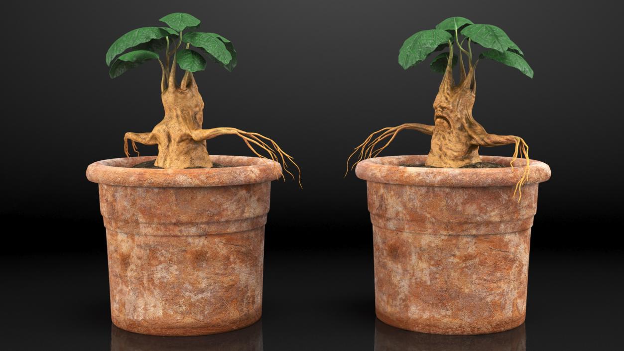 3D Mandragora Flower Pot