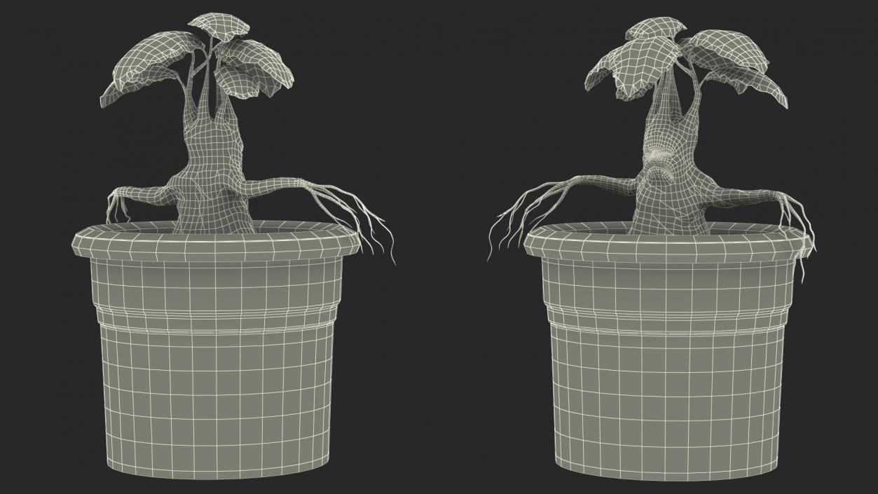 3D Mandragora Flower Pot