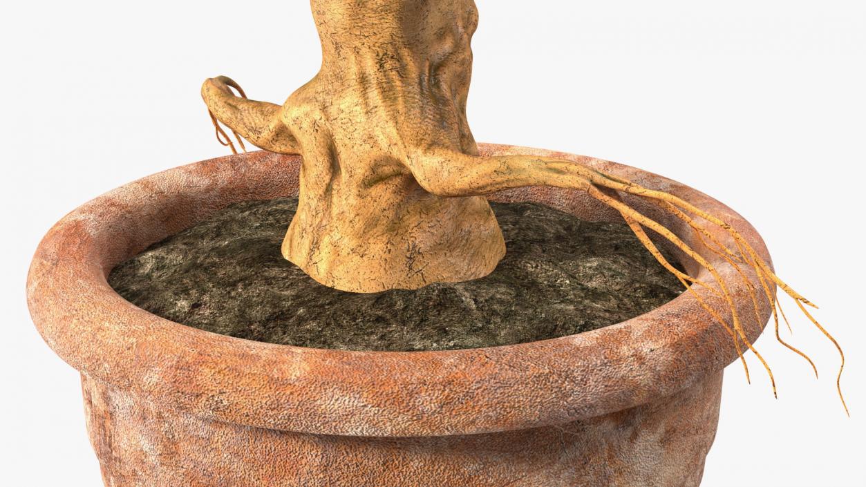 3D Mandragora Flower Pot