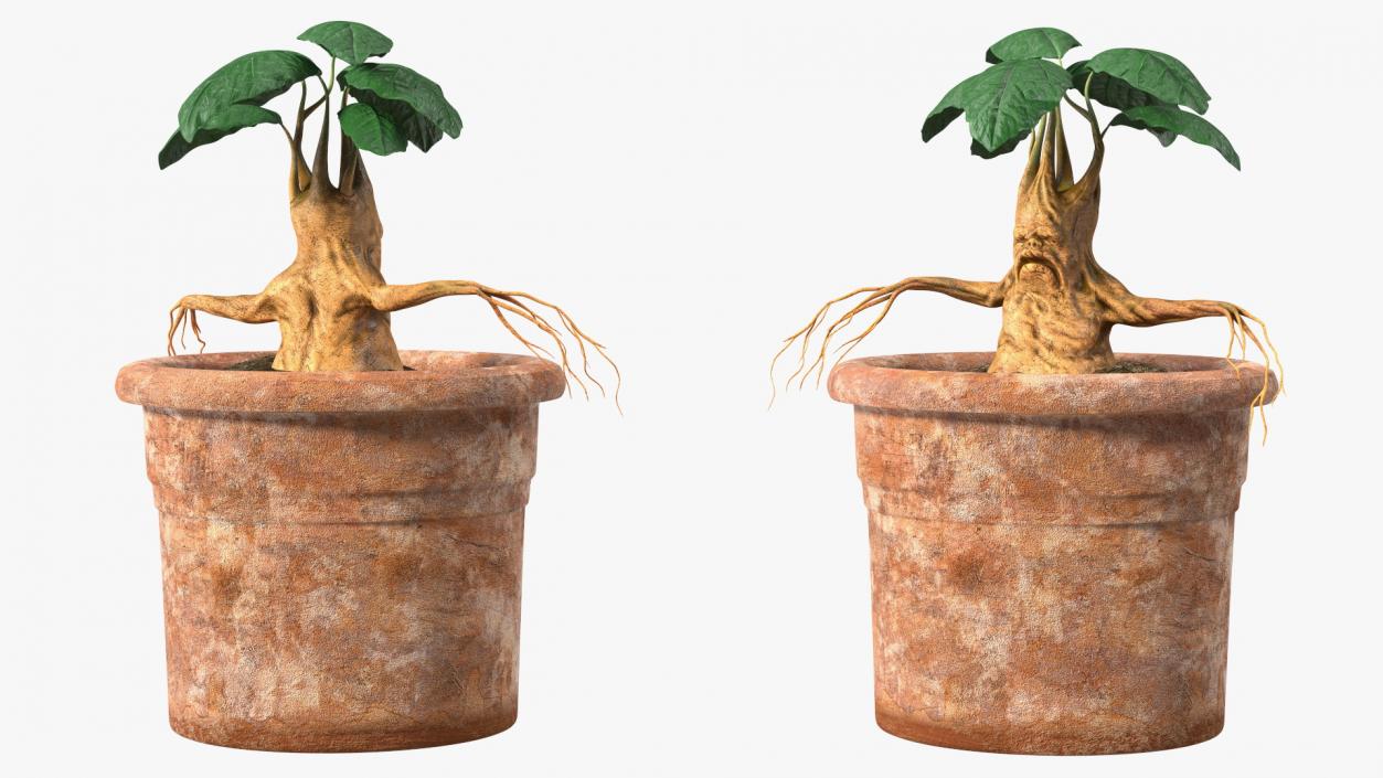 3D Mandragora Flower Pot