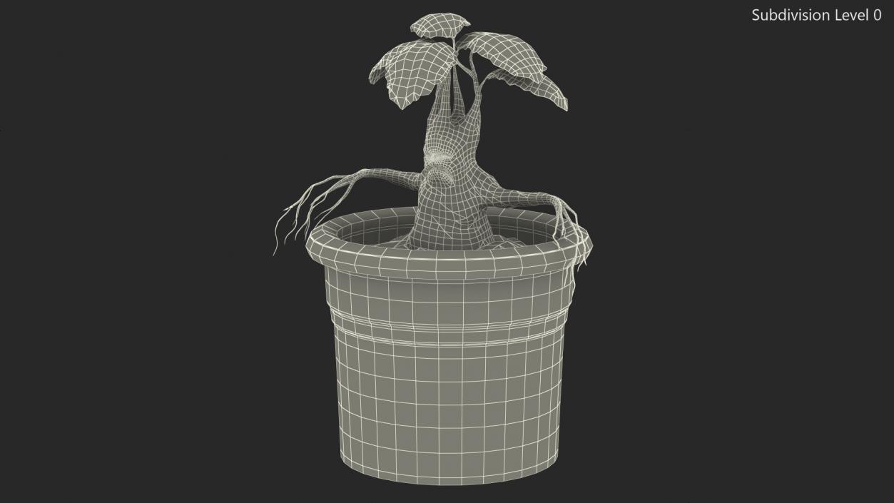 3D Mandragora Flower Pot