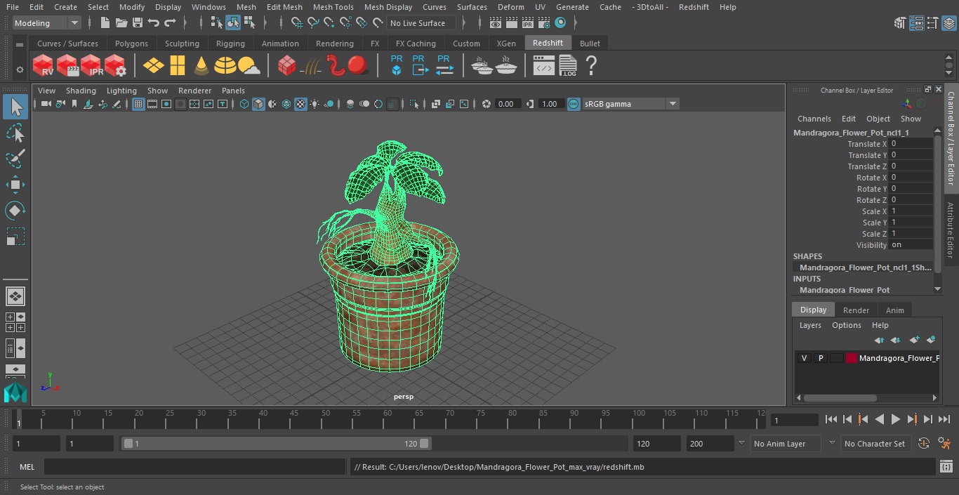 3D Mandragora Flower Pot