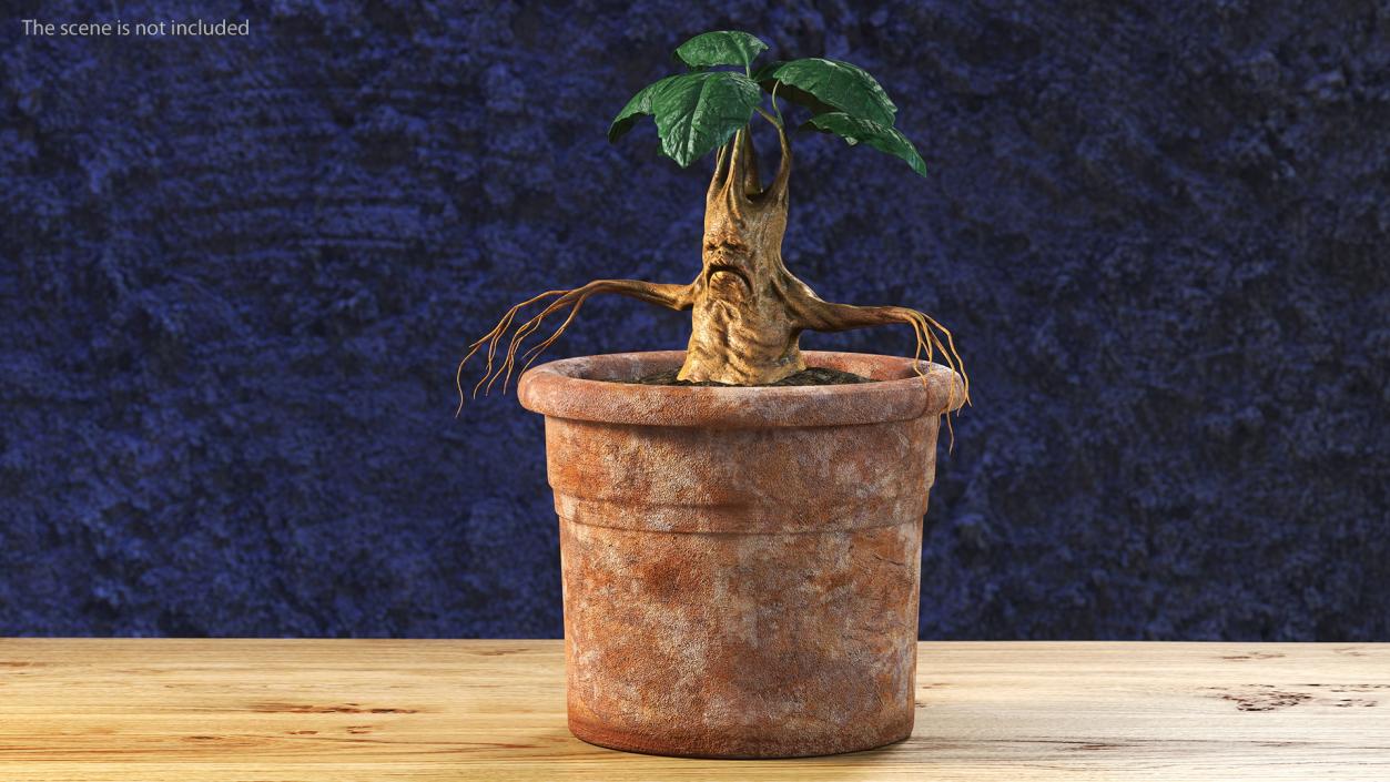 3D Mandragora Flower Pot