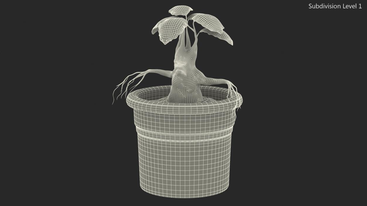 3D Mandragora Flower Pot