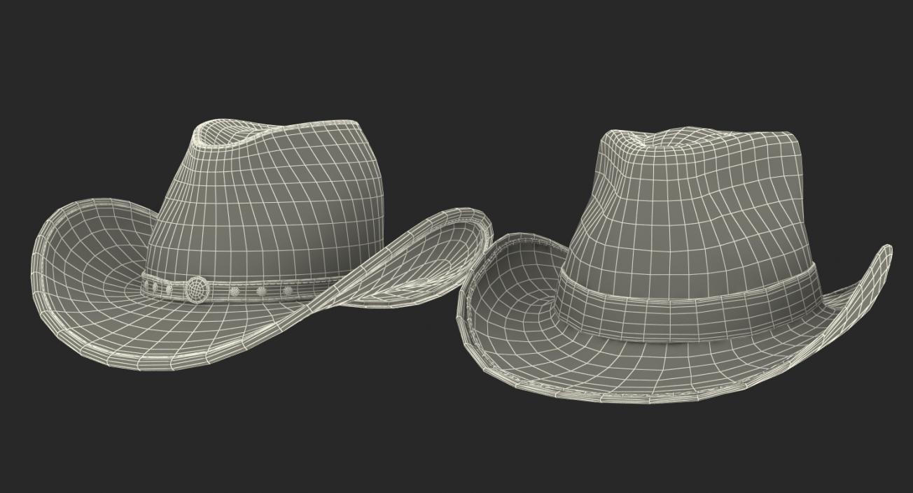 3D model Hats Collection