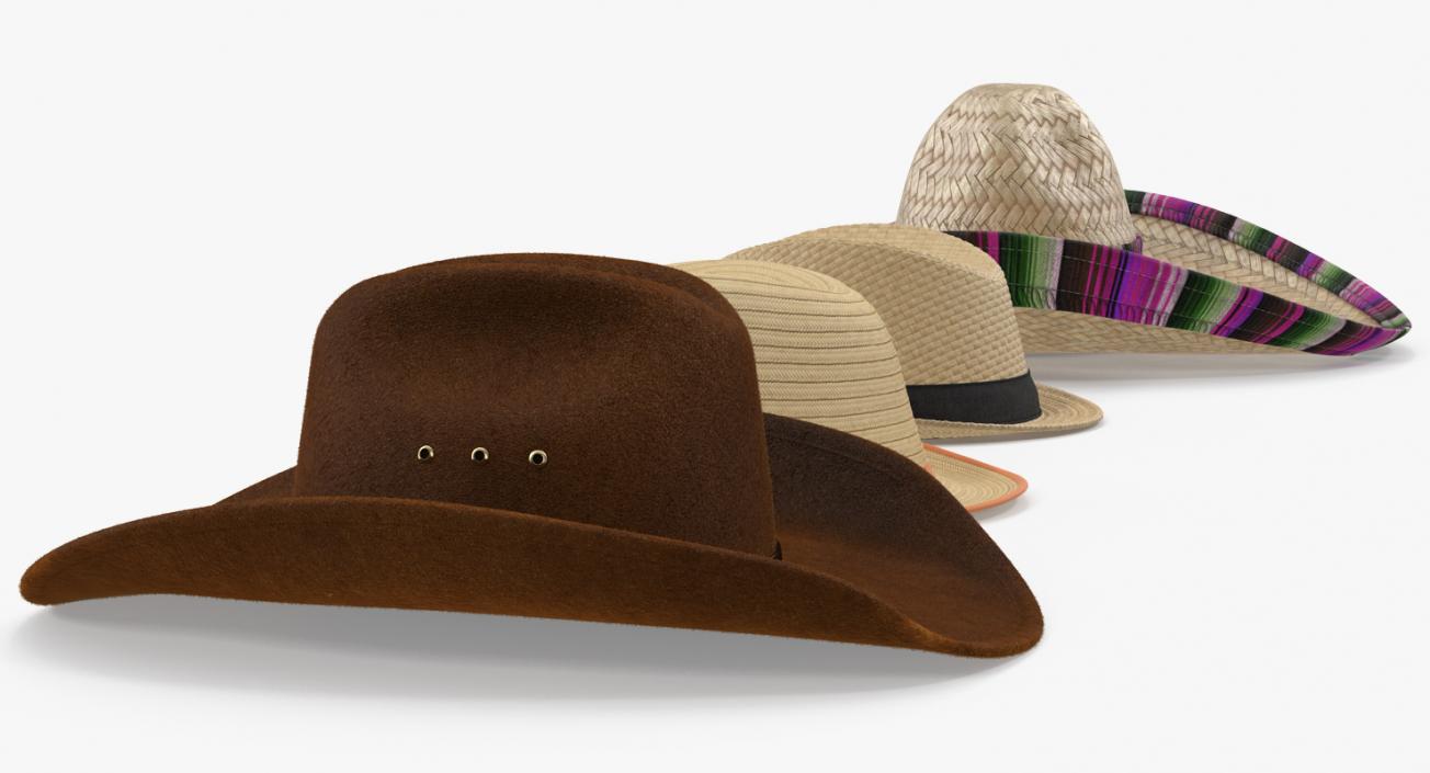 3D model Hats Collection