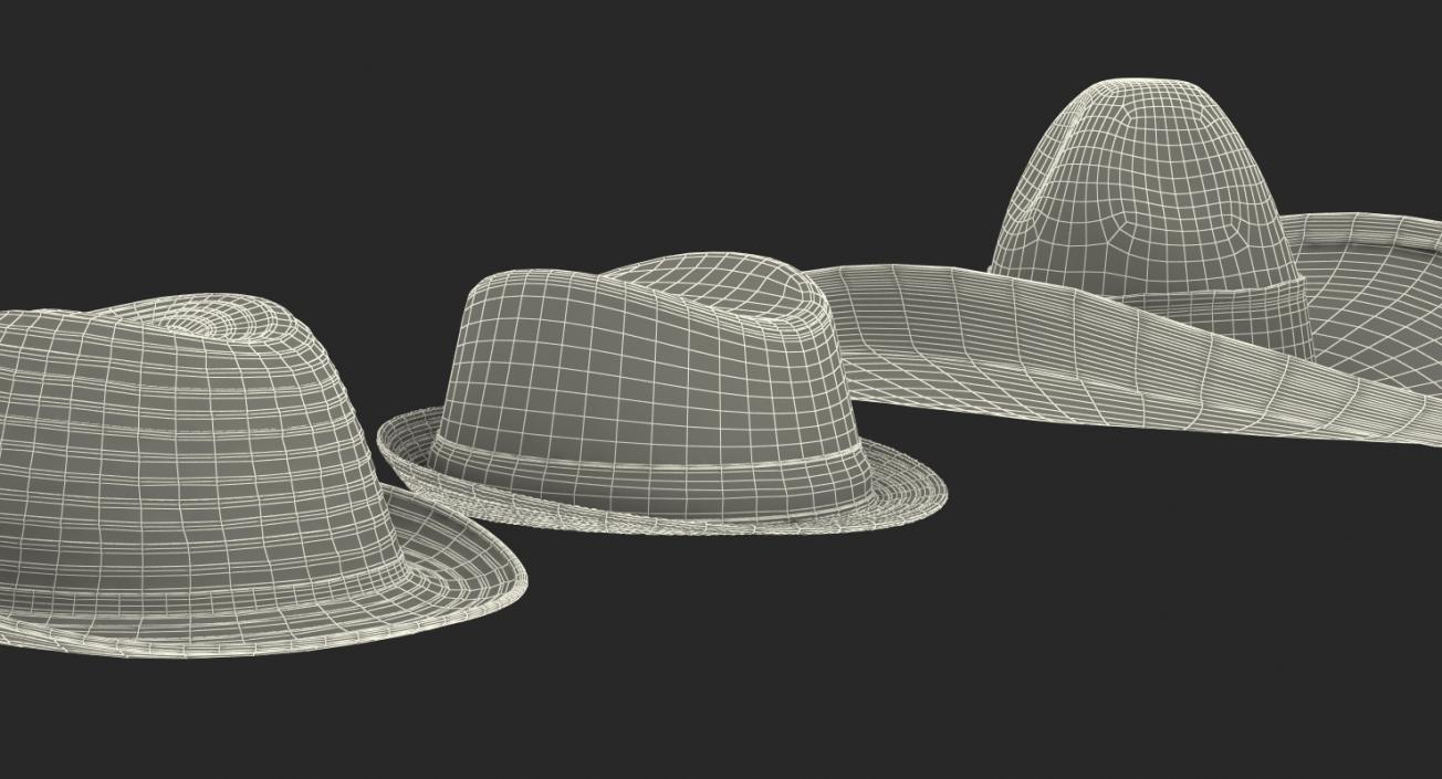 3D model Hats Collection