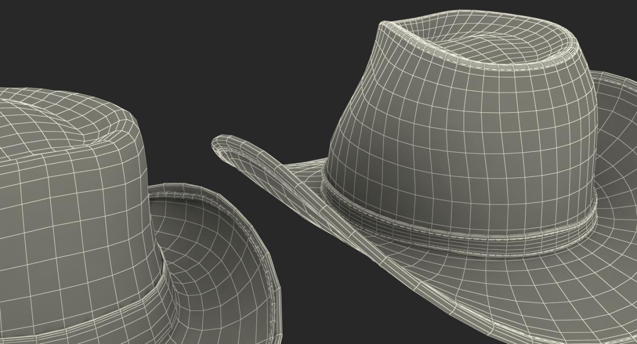 3D model Hats Collection