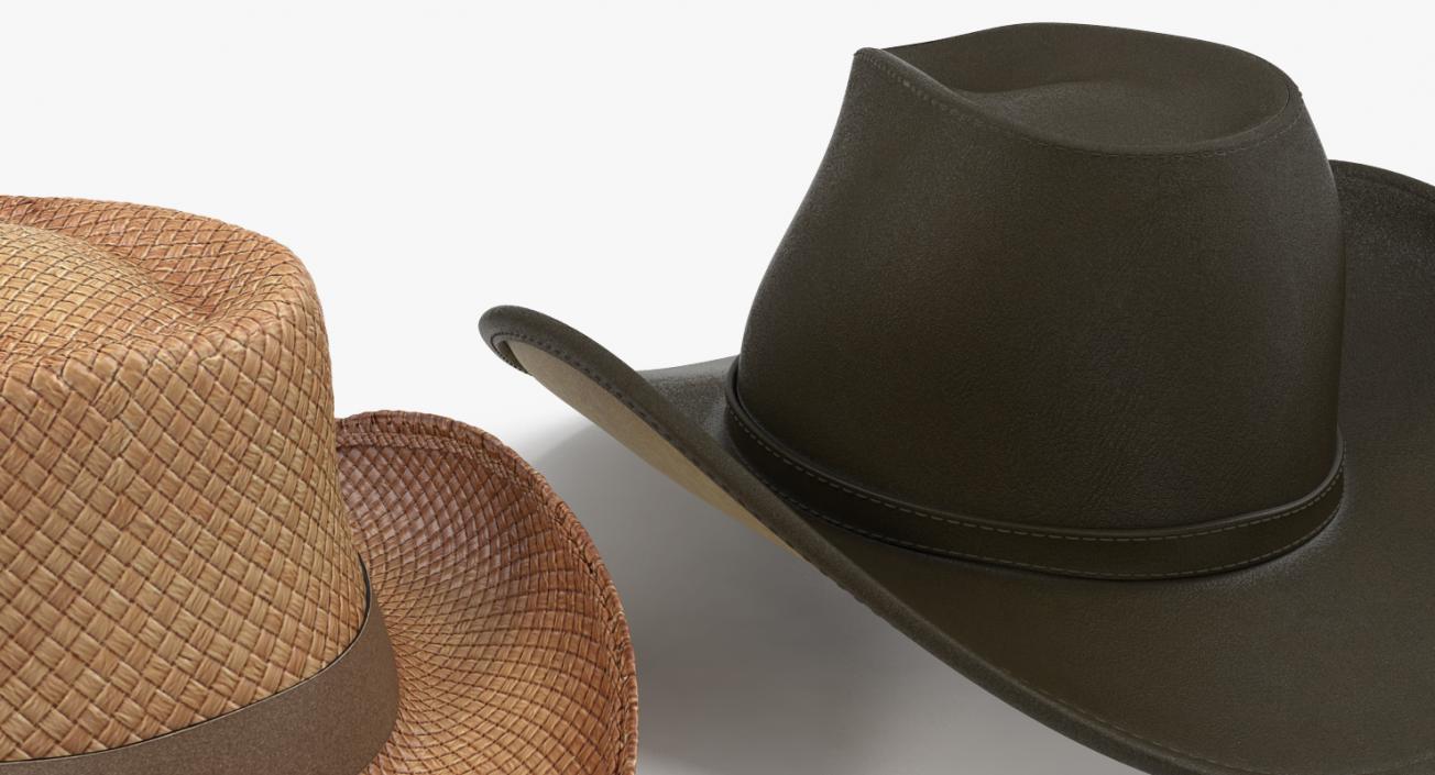 3D model Hats Collection