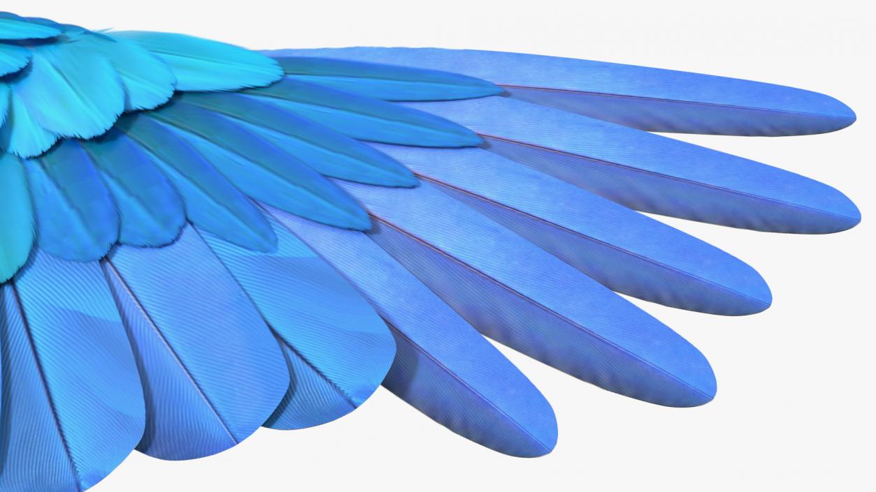 3D model Blue and Yellow Macaw Parrot Rigged